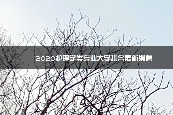 2020护理学类专业大学排名最新消息