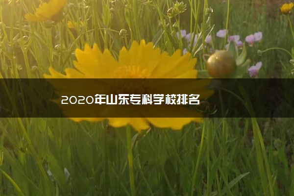 2020年山东专科学校排名