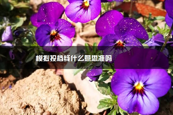 模拟投档线什么意思准吗