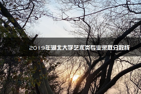 2019年湖北大学艺术类专业录取分数线