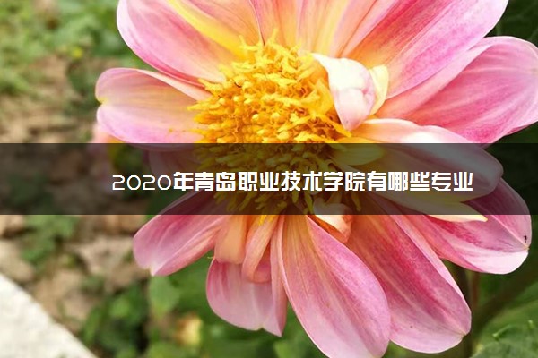 2020年青岛职业技术学院有哪些专业