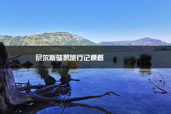 尼尔斯骑鹅旅行记梗概