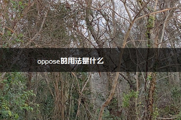 oppose的用法是什么