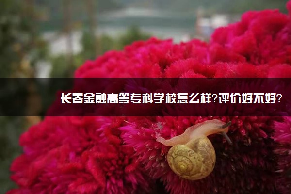 长春金融高等专科学校怎么样？评价好不好？