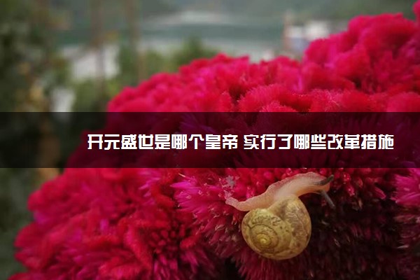 开元盛世是哪个皇帝 实行了哪些改革措施