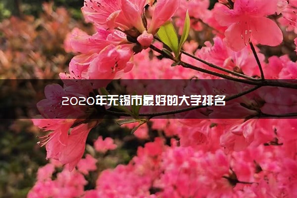 2020年无锡市最好的大学排名