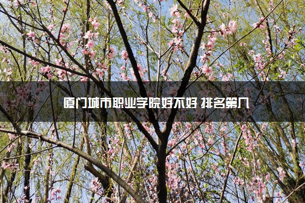 厦门城市职业学院好不好 排名第几