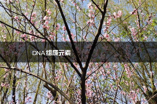 DNA组成元素