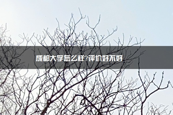 成都大学怎么样？评价好不好