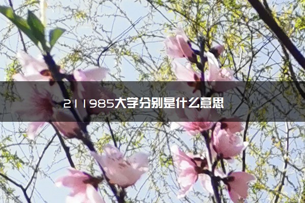 211985大学分别是什么意思