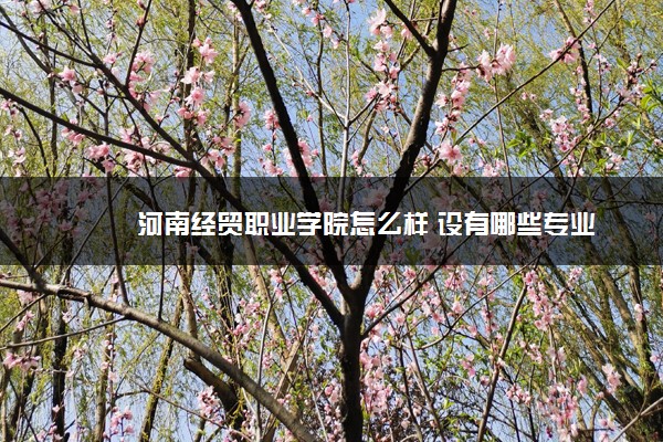 河南经贸职业学院怎么样 设有哪些专业