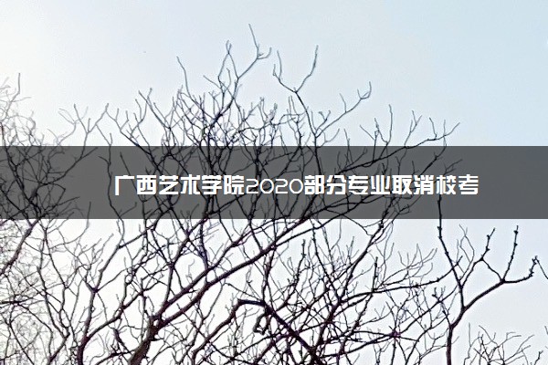 广西艺术学院2020部分专业取消校考