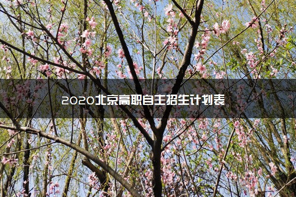 2020北京高职自主招生计划表