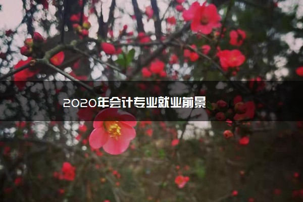 2020年会计专业就业前景