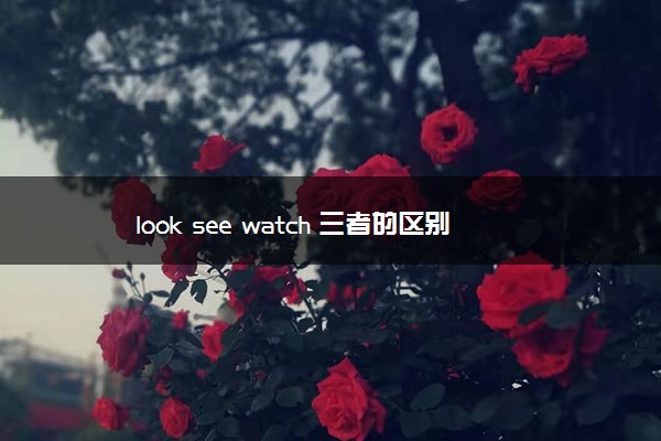 look see watch 三者的区别