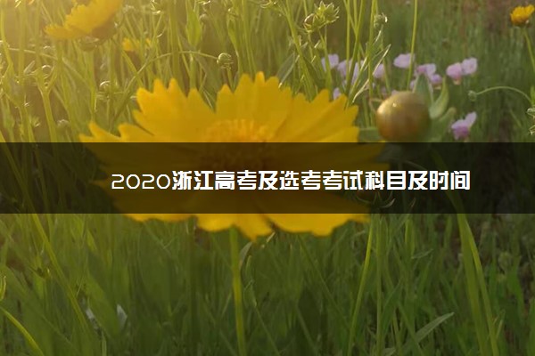 2020浙江高考及选考考试科目及时间