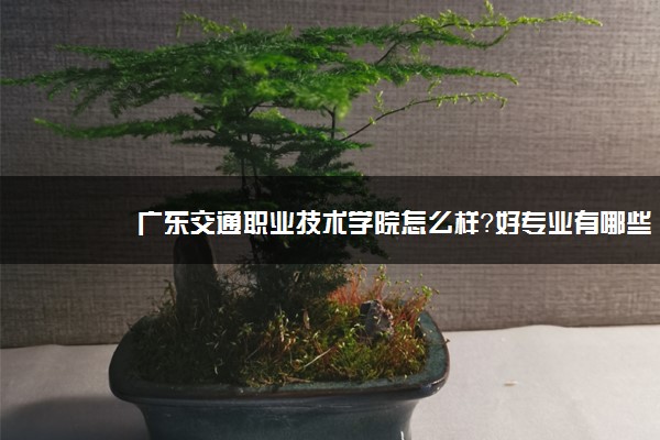 广东交通职业技术学院怎么样？好专业有哪些？