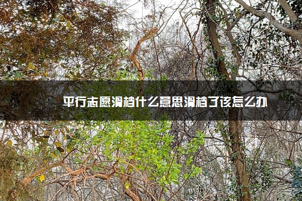 平行志愿滑档什么意思滑档了该怎么办