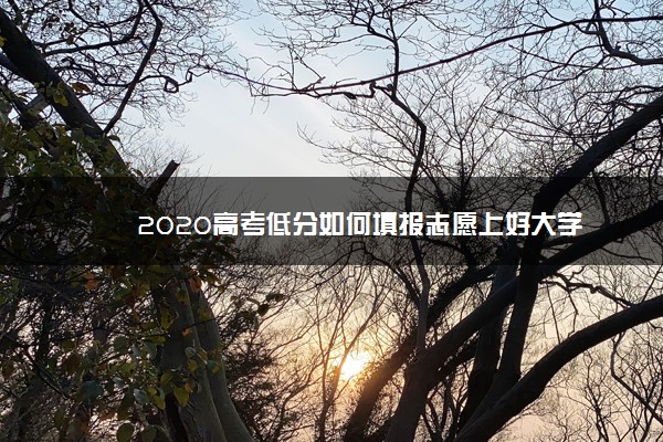 2020高考低分如何填报志愿上好大学