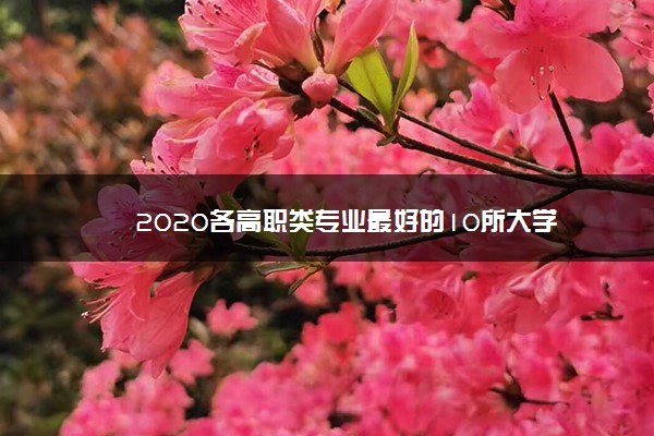 2020各高职类专业最好的10所大学