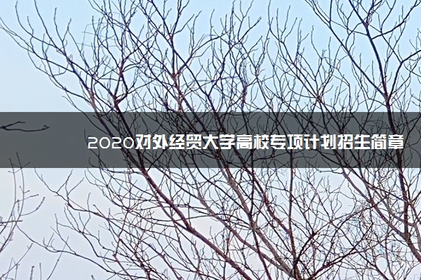 2020对外经贸大学高校专项计划招生简章