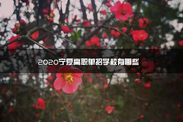 2020宁夏高职单招学校有哪些