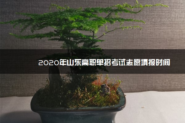 2020年山东高职单招考试志愿填报时间