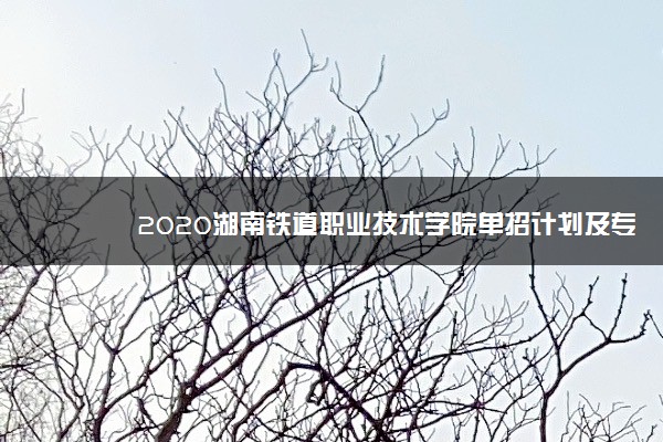 2020湖南铁道职业技术学院单招计划及专业