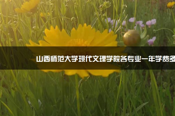 山西师范大学现代文理学院各专业一年学费多少钱