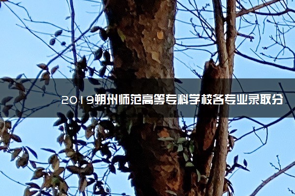 2019朔州师范高等专科学校各专业录取分数线汇总