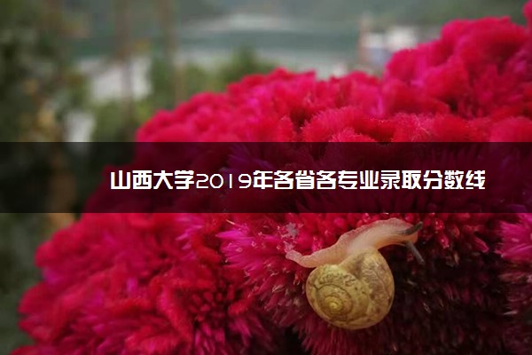 山西大学2019年各省各专业录取分数线