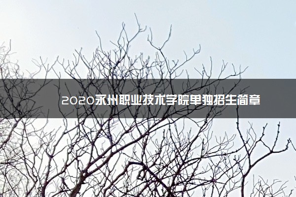 2020永州职业技术学院单独招生简章