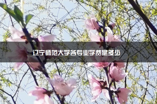 辽宁师范大学各专业学费是多少