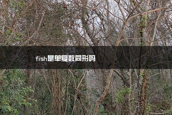 fish是单复数同形吗