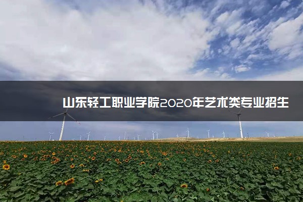 山东轻工职业学院2020年艺术类专业招生章程