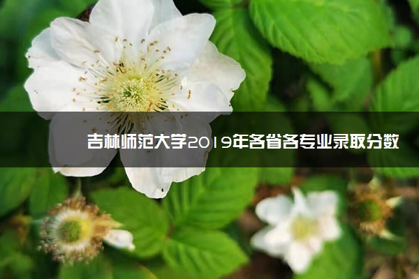 吉林师范大学2019年各省各专业录取分数线