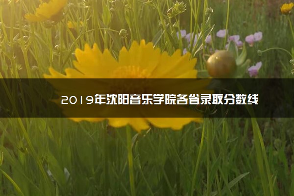 2019年沈阳音乐学院各省录取分数线