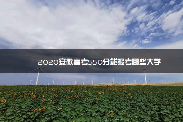 2020安徽高考550分能报考哪些大学