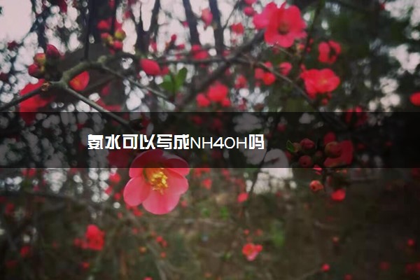 氨水可以写成NH4OH吗