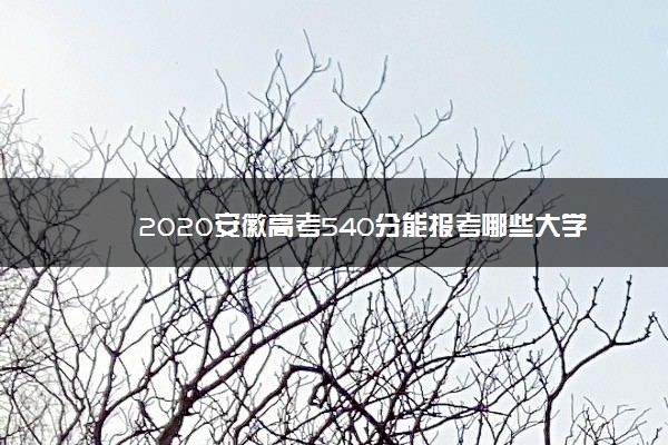 2020安徽高考540分能报考哪些大学