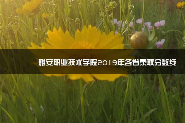 雅安职业技术学院2019年各省录取分数线汇总