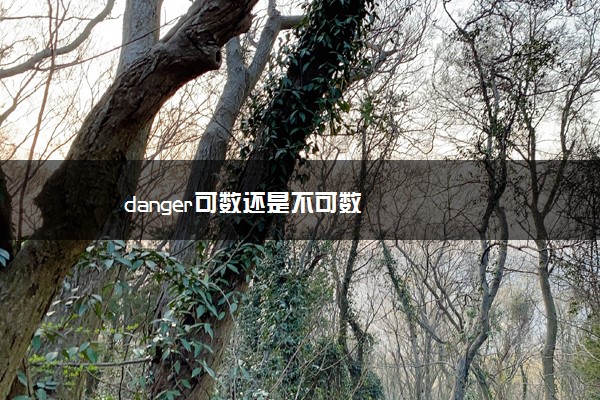 danger可数还是不可数