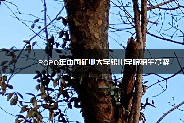 2020年中国矿业大学银川学院招生章程