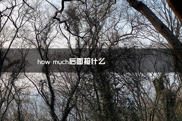 how much后面接什么