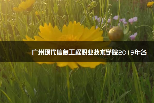 广州现代信息工程职业技术学院2019年各省各专业录取分数线