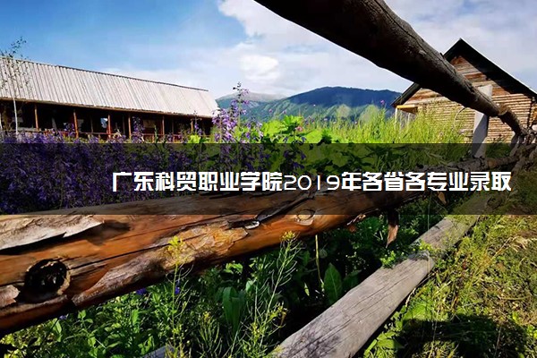 广东科贸职业学院2019年各省各专业录取分数线