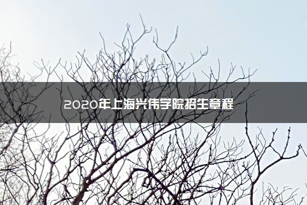 2020年上海兴伟学院招生章程