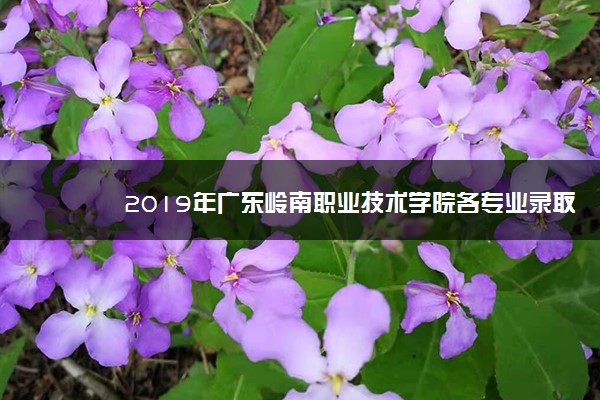 2019年广东岭南职业技术学院各专业录取分数线