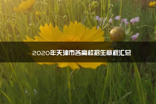 2020年天津市各高校招生章程汇总