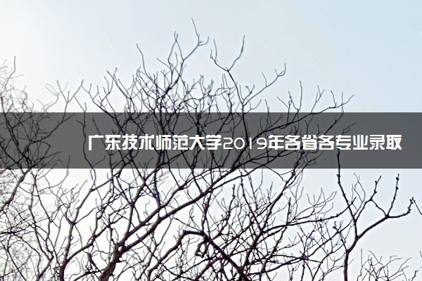 广东技术师范大学2019年各省各专业录取分数线